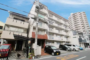 大阪府大阪市平野区平野南2【マンション】の外観