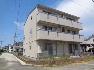 ひかりの画像