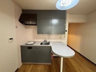 アルファ東古松II【1階】のキッチン