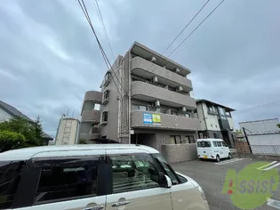 アプリコット Gの画像