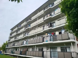 平塚高村団地35号棟【5階】の外観