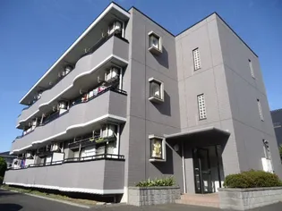 プリムローズ アイの画像