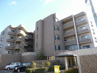 ステラルーチェの画像