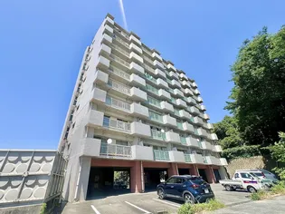 ギャラン瀬板の画像