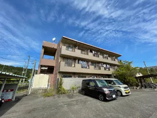 リーズ ヴァレイP&Fの画像