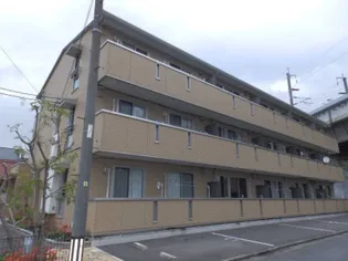 パインフィールドの画像