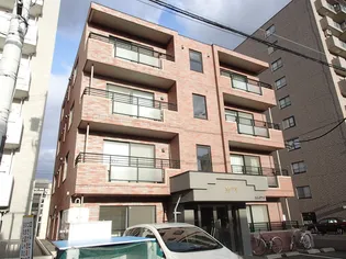 エムズワイの画像