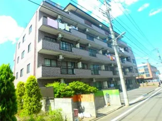 プランドールの画像