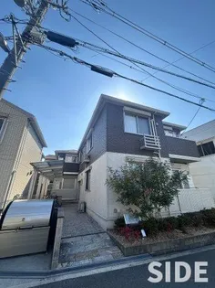 ルピナスの画像