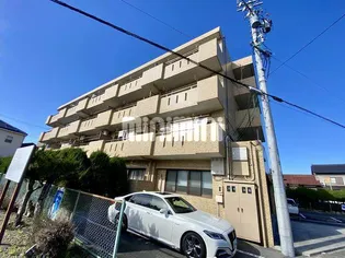 ドムール藤浪の画像