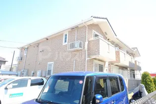 アーリー スプリングの画像