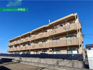 サン&ローズの画像