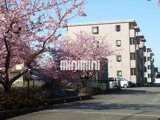 サンフォレストAの画像