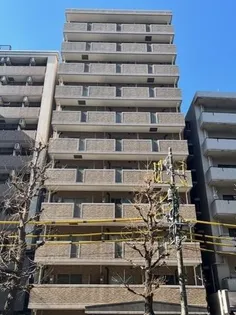 ビエラコート都立大学【11階】の外観