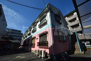 ホワイトドリームIIの画像