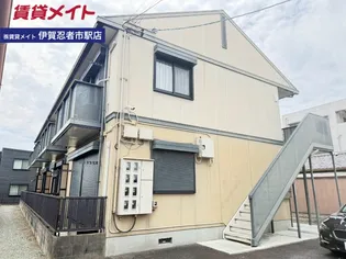 グリーンパラソルの画像