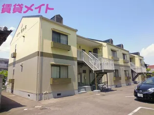 メイト杉の木の画像