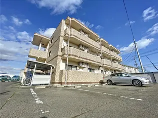 シャングリラユーミーの画像