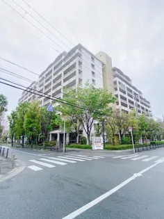 コーシャハイツ中野の画像