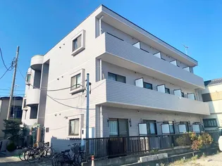 ベルドゥムール草加金明の画像