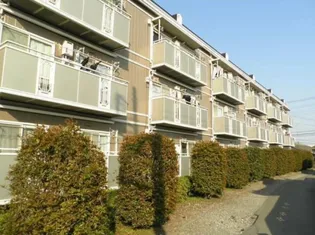 セントラルパディの画像