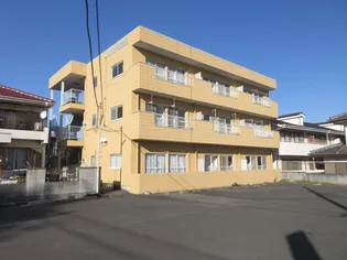 スカイハイツ岡崎II【1階】の外観