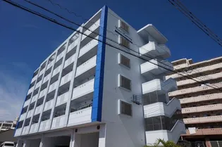 エバー ラスティングの画像