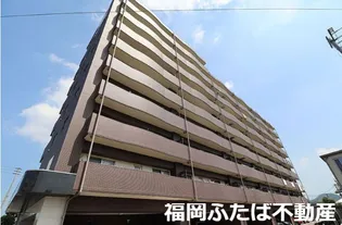 レブリアント板付の画像