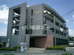 CITY COOLALEの画像