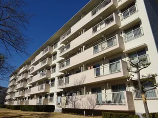 高洲二丁目住宅5街区4号棟の画像