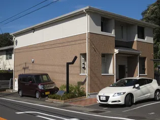 サングリーンの画像