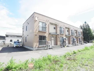 パーシモンツリーの画像