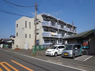 シャンボールミヤの画像