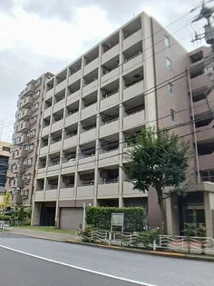 イーリス ニシオオジマの画像