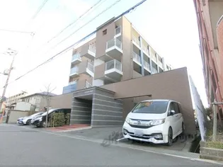 スマイルオーキットの画像