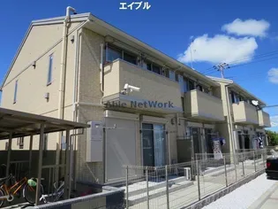 カモミールBの画像