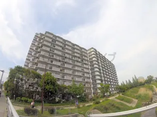 マイシティ伊丹【9階】の外観