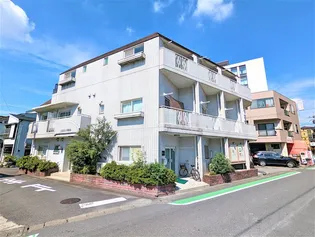 アネックス南越谷【3階】の外観