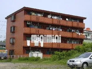 サンテラス花の木の画像