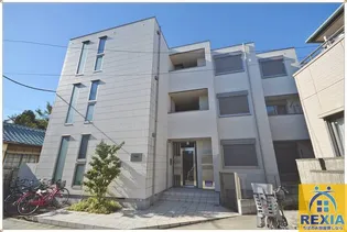 MOGGY モギィの画像