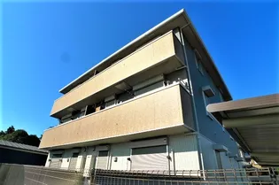 シェーン アネーロの画像