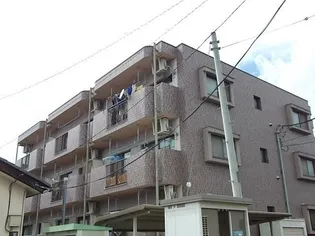 カーサラポーティーの画像