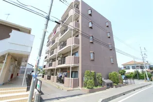 メソングランディールの画像