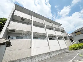 プランシードの画像