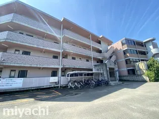 徳島県徳島市川内町榎瀬【マンション】の外観