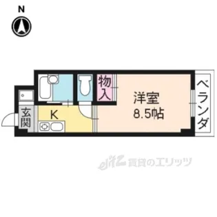 ピュアコート【1階】の間取り
