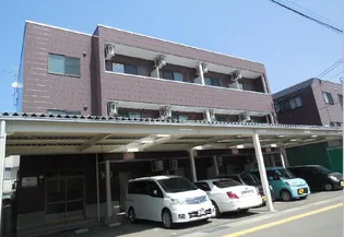 プリンセスBの画像