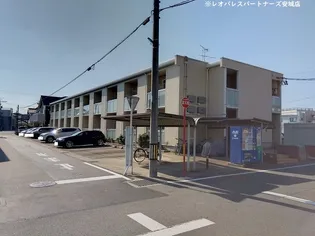 レオネクストモーニングローリーの画像