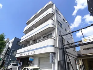 フラットスズキの画像