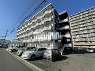 マ メゾンの画像